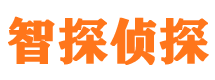 端州外遇出轨调查取证